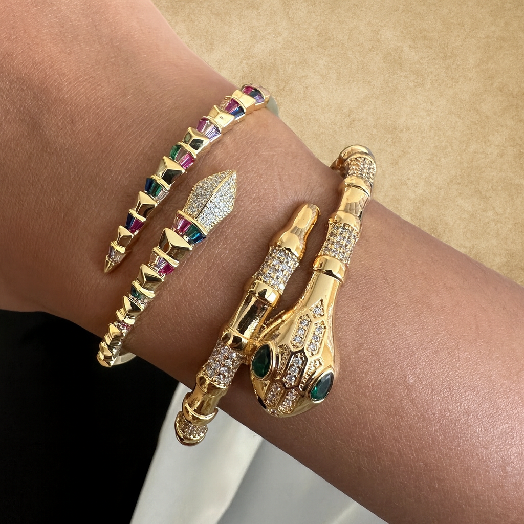 Colorful Serpent Bangle and Ring