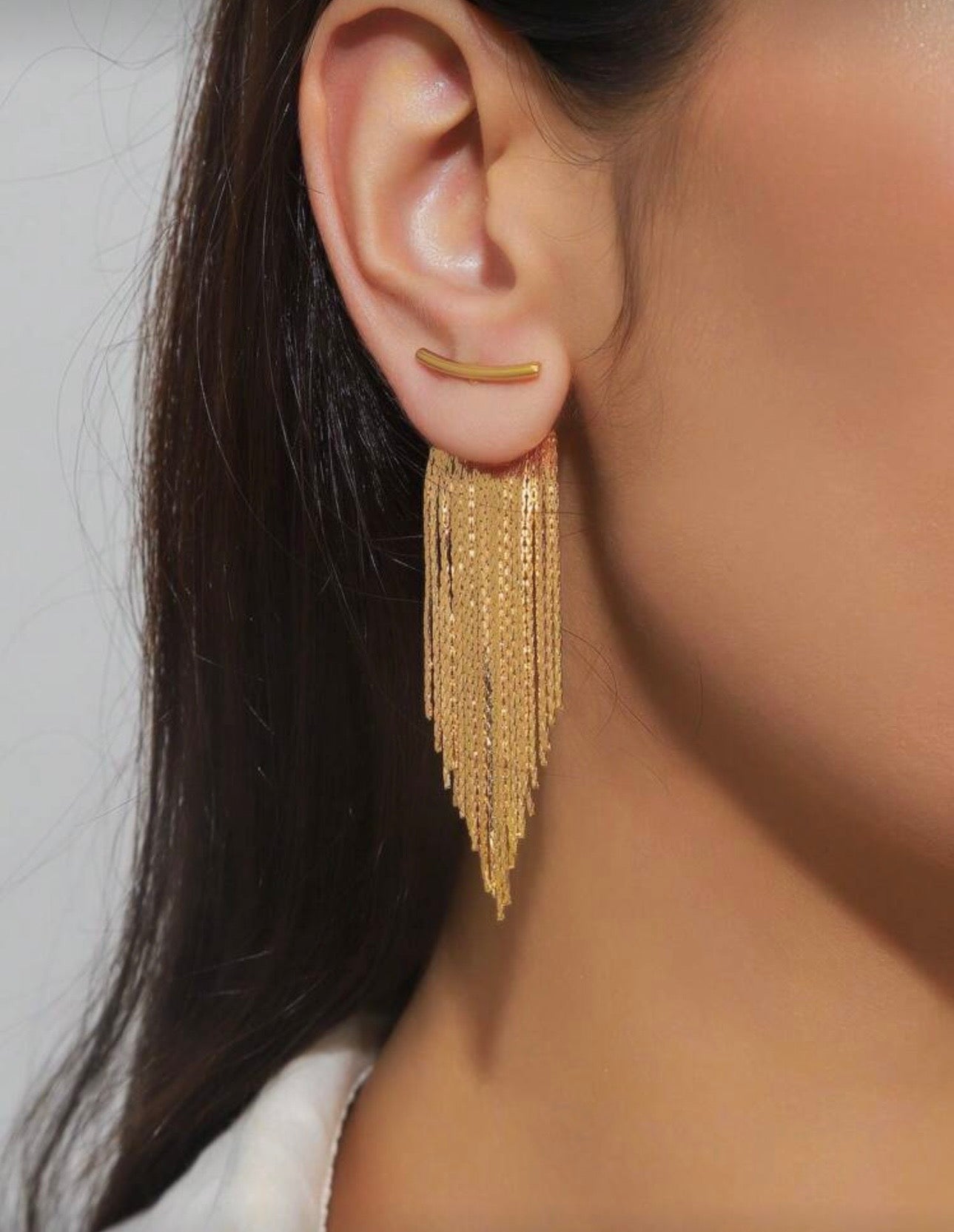 Fringe Tassel Earrings
